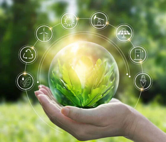 Global Sustainability Reporting