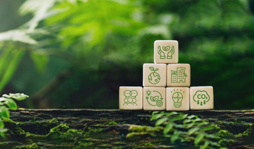 Sustainability Strategy & Management