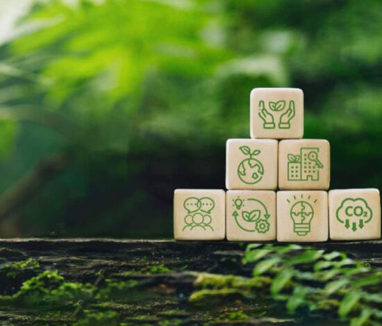 Sustainability Strategy & Management